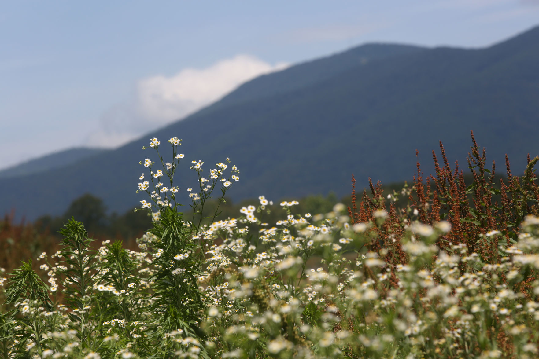 Delays raise new questions for Mountain Valley Pipeline